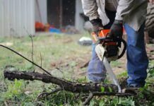 Cum prelungești viața uneltelor și echipamentelor pentru grădinărit