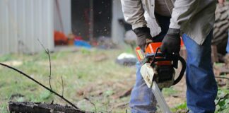 Cum prelungești viața uneltelor și echipamentelor pentru grădinărit