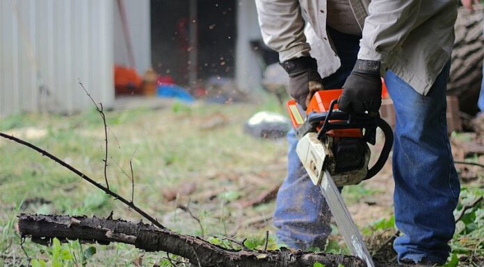 Cum prelungești viața uneltelor și echipamentelor pentru grădinărit