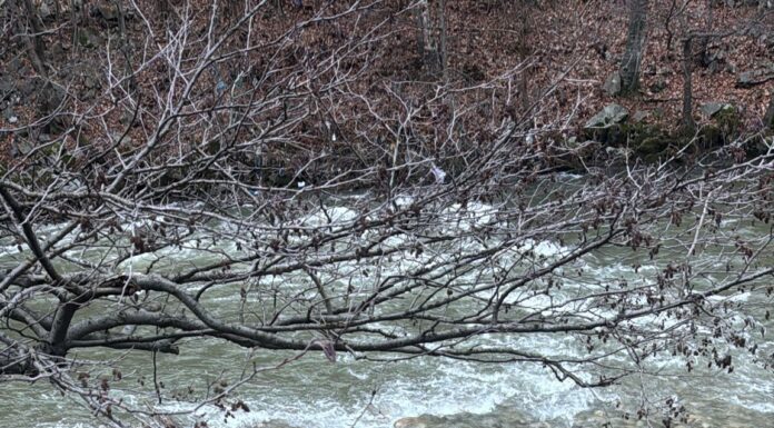 FOTO: Un preot și o măicuță, răniți în accident