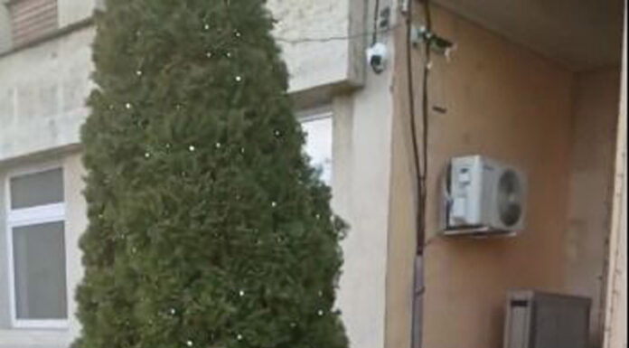 Doi salariați ai CEO continuă greva foamei în fața companiei. Ei cheamă la solidaritate