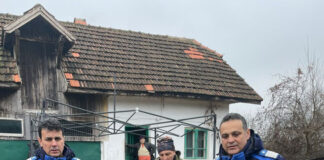 O pisică sălbatică, aflată în curtea unui localnic din Tismana, capturată de jandarmi