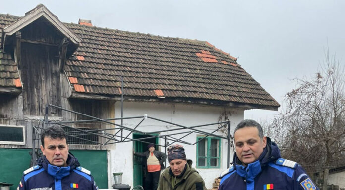 O pisică sălbatică, aflată în curtea unui localnic din Tismana, capturată de jandarmi