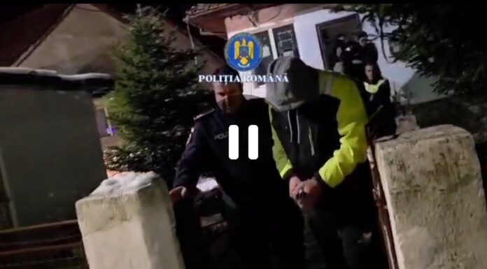 VIDEO: Șapte reținuți după încăierare în fața unui local din Padeș