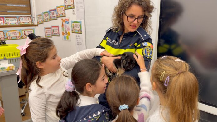 WhatsApp Image 2025-12-18 at 13.51.28