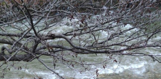 Accident spectaculos pe Defileu! Mașina în care se aflau un preot și o măicuță s-a răsturnat în Jiu