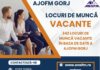 AJOFM anunță 342 de joburi vacante la noi în județ