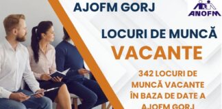AJOFM anunță 342 de joburi vacante la noi în județ