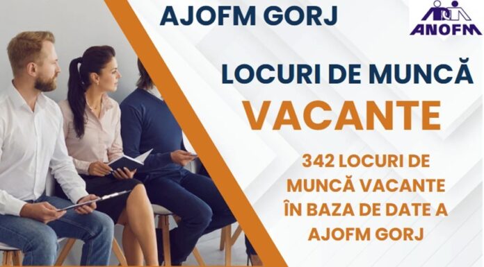 AJOFM anunță 342 de joburi vacante la noi în județ