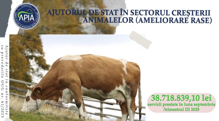 APIA: Bani pentru doi crescători de animale din Gorj