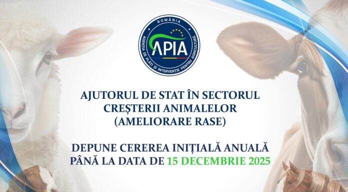 APIA: 15 decembrie, termen-limită pentru cererile inițiale de ajutor de stat în sectorul creşterii animalelor