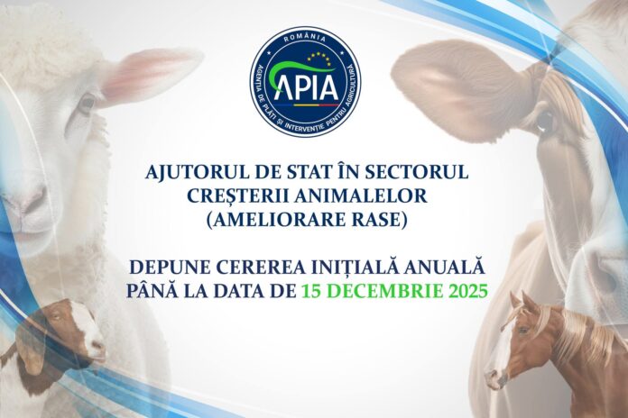APIA: 15 decembrie, termen-limită pentru cererile inițiale de ajutor de stat în sectorul creşterii animalelor