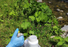 S-au luat probe din Jiu. Nivelul poluării