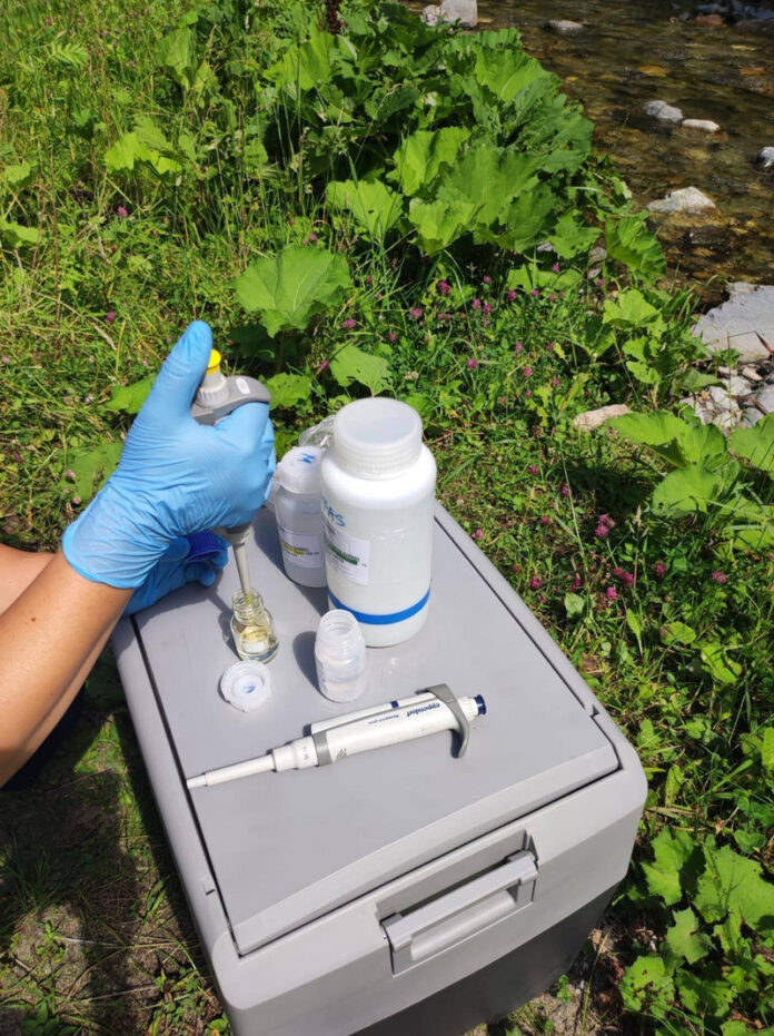 S-au luat probe din Jiu. Nivelul poluării