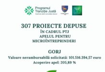 Interes uriaș pentru PTJ: 370 de proiecte depuse în Gorj