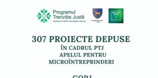 Interes uriaș pentru PTJ: 370 de proiecte depuse în Gorj