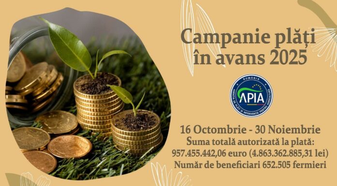 APIA a finalizat autorizarea plăților în avans pentru Campania 2025