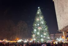 Primăria Târgu Jiu a anunțat câștigătorii concursului de Crăciun
