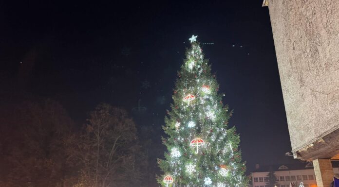 Primăria Târgu Jiu a anunțat câștigătorii concursului de Crăciun