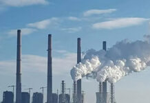 CEO a început să vândă energie, după ce a fost blocat aproape un an