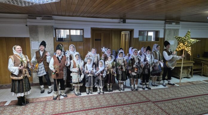 Colindători din Baia de Aramă la Tribunalul Gorj