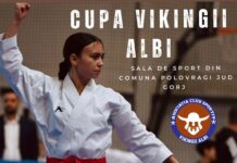 Competiție de karate la Polovragi