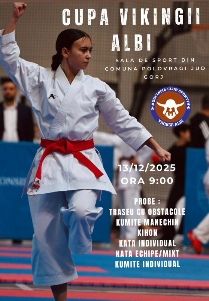 Competiție de karate la Polovragi