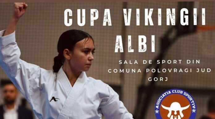 Competiție de karate la Polovragi