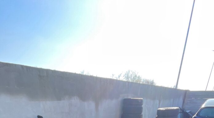 Amendat pentru dezmembrări auto fără autorizație