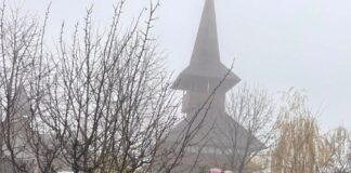 Sute de kilograme de fructe și legume donate de elevi