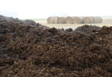 Agricultura pe înțelesul tuturor – Gunoiul de grajd – o comoară a fermierilor