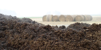 Agricultura pe înțelesul tuturor – Gunoiul de grajd – o comoară a fermierilor