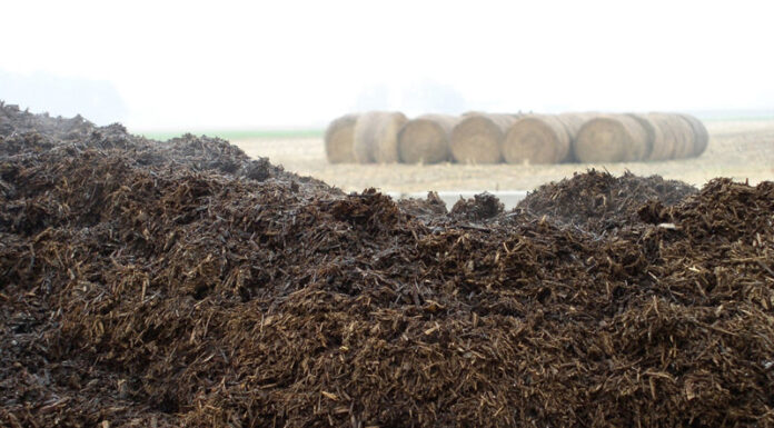 Agricultura pe înțelesul tuturor – Gunoiul de grajd – o comoară a fermierilor