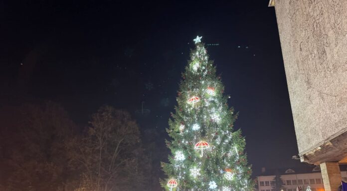 Mii de târgujieni la aprinderea iluminatului festiv