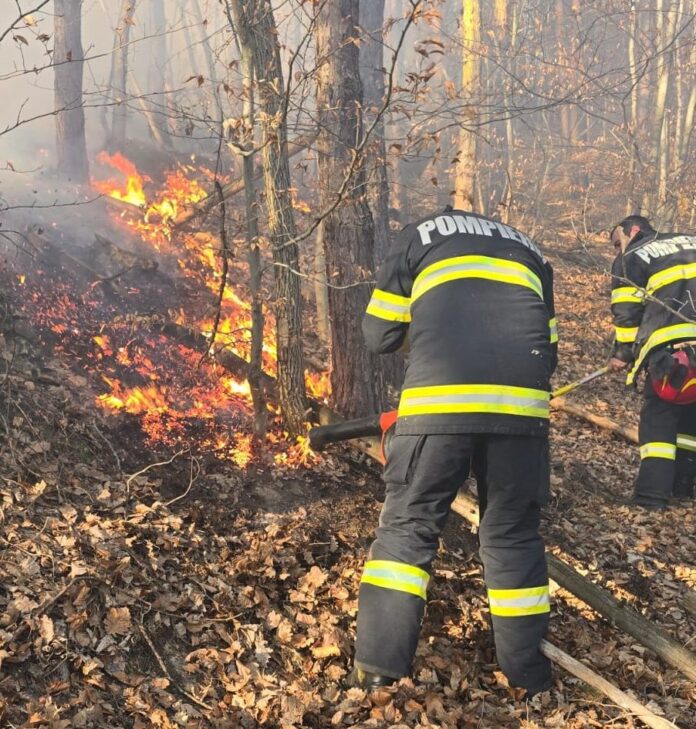 incendiu padure