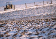 Agricultura pe înțelesul tuturor – Calendarul lucrărilor agricole în luna decembrie