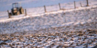 Agricultura pe înțelesul tuturor – Calendarul lucrărilor agricole în luna decembrie