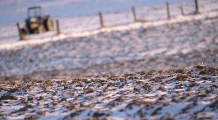 Agricultura pe înțelesul tuturor – Calendarul lucrărilor agricole în luna decembrie