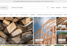 Romsilva a lansat un magazin online pentru lemne de foc
