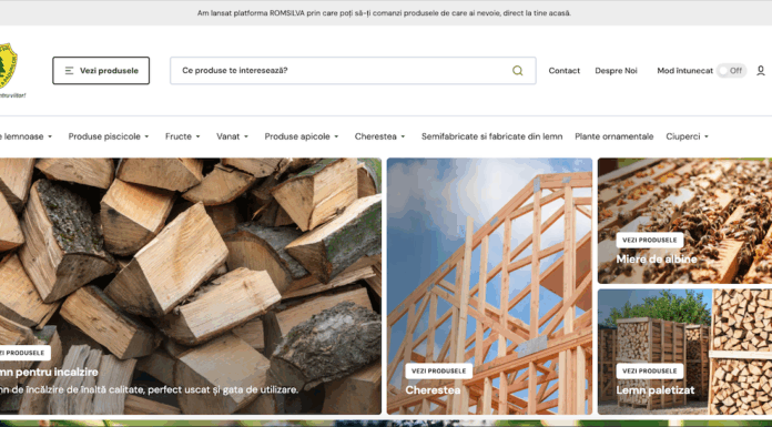 Romsilva a lansat un magazin online pentru lemne de foc
