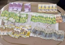 Pădurar reținut după tăierea ilegală a unui arbore rar