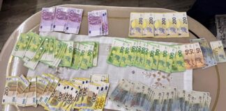 Pădurar reținut după tăierea ilegală a unui arbore rar