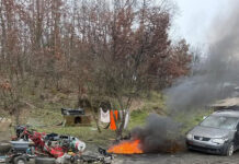 Dezmembrări auto ilegale la Peșteana