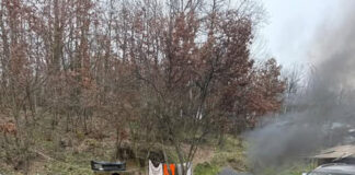 Dezmembrări auto ilegale la Peșteana