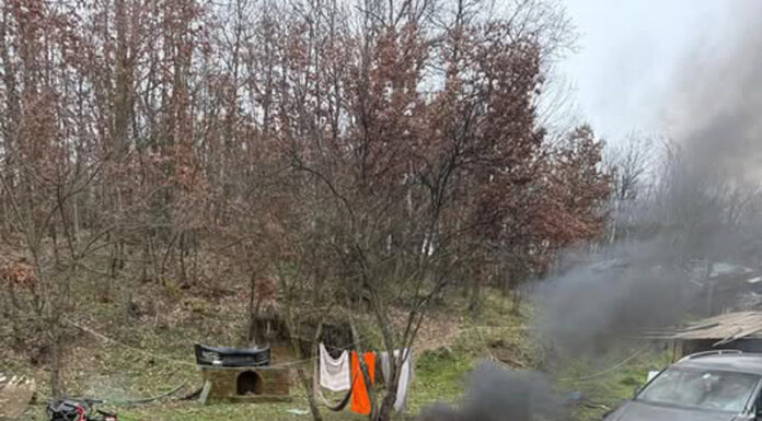 Dezmembrări auto ilegale la Peșteana