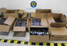 Percheziție la Târgu-Jiu: Polițiștii au descoperit 650 de kilograme de petarde și artificii deținute ilegal de un bărbat