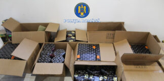 Percheziție la Târgu-Jiu: Polițiștii au descoperit 650 de kilograme de petarde și artificii deținute ilegal de un bărbat