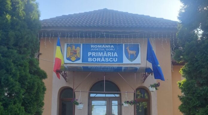 Un nou consilier local la Borăscu