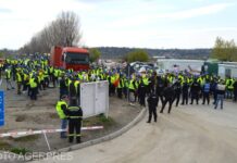 Fermierii fără hashtag