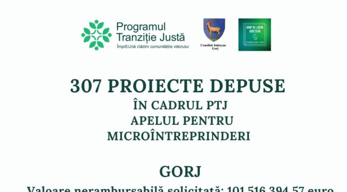 Interes uriaș al antreprenorilor gorjeni pentru PTJ